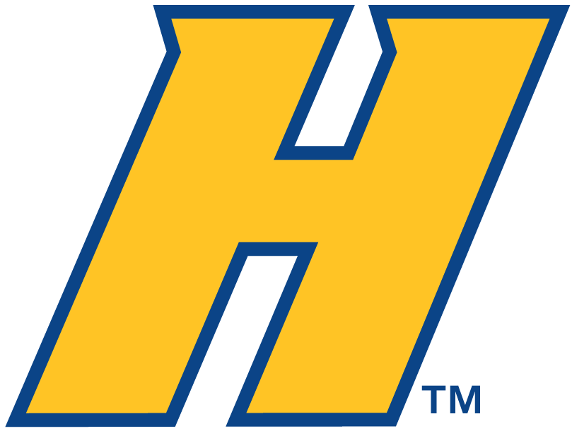 Hofstra Pride 2005-Pres Alternate Logo v2 iron on transfers for T-shirts